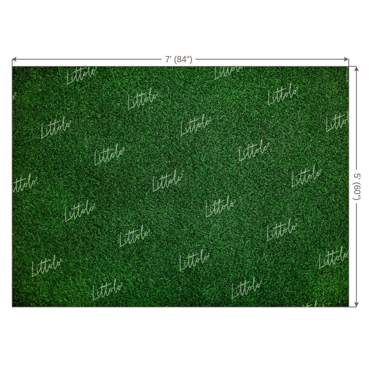 LB1072 Grass Theme Backdrop