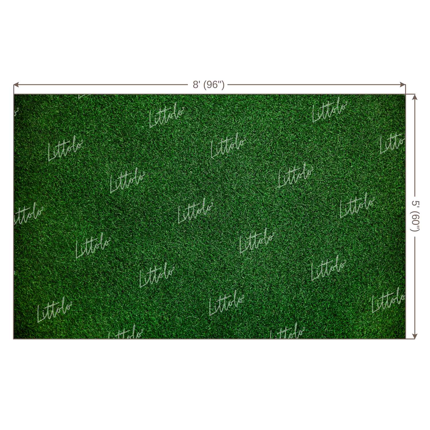 LB1072 Grass Theme Backdrop