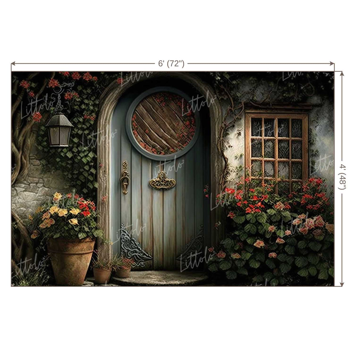 LB1074 Enchanted Doorway Backdrop