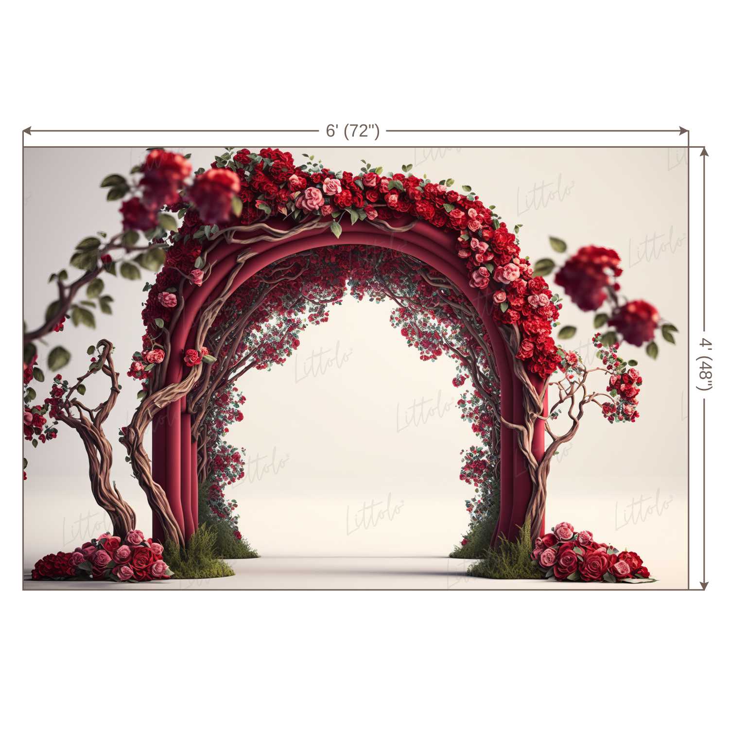 LB1087 Enchanted Doorway Backdrop