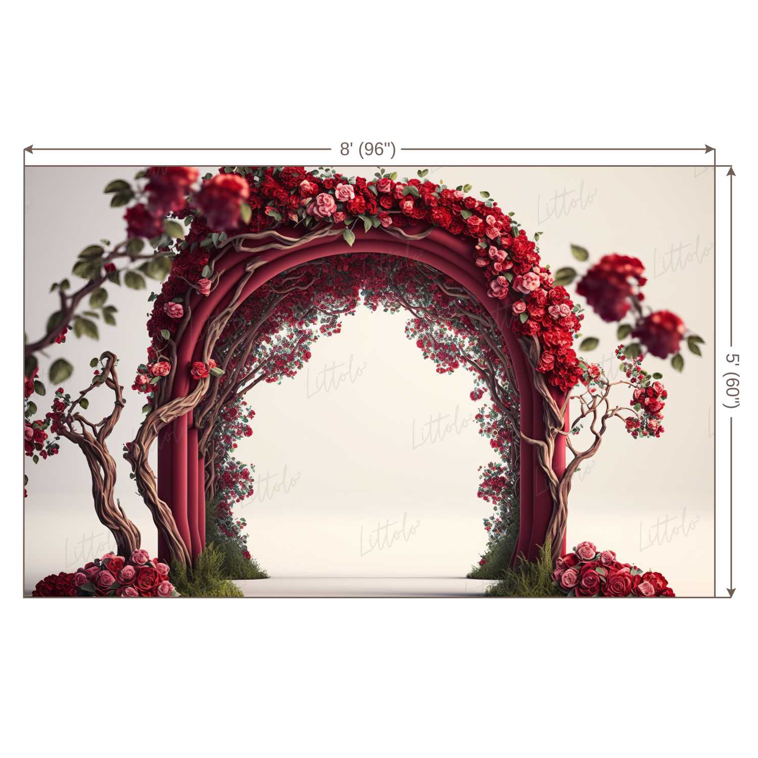 LB1087 Enchanted Doorway Backdrop