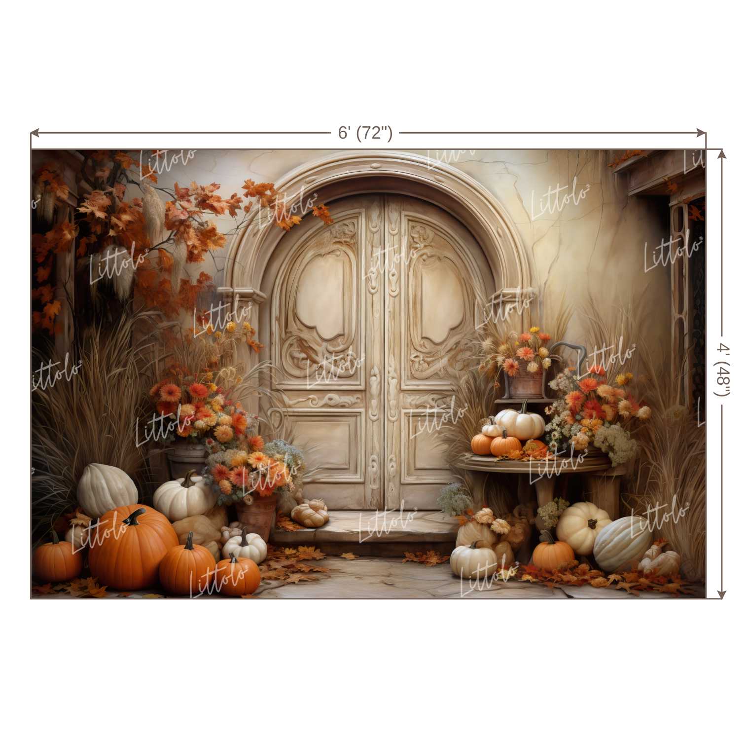 LB1119 Festive and Season Halloween Backdrop