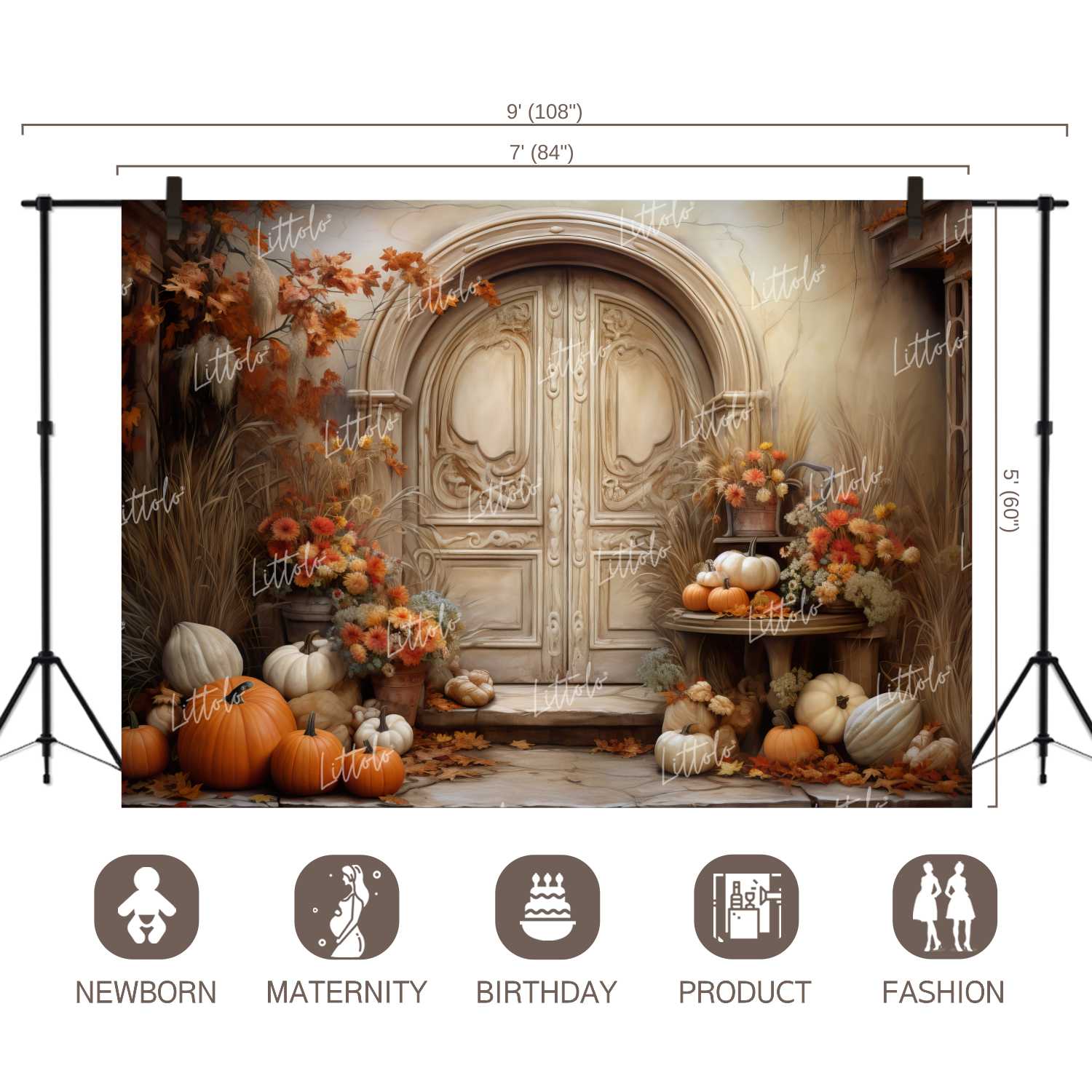 LB1119 Festive and Season Halloween Backdrop