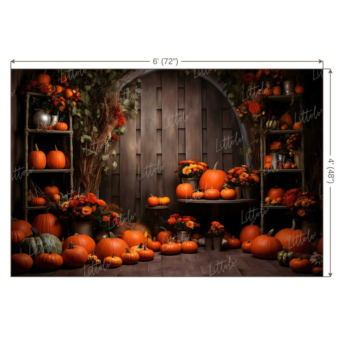 LB1317 Festivals and Seasons Halloween Backdrop