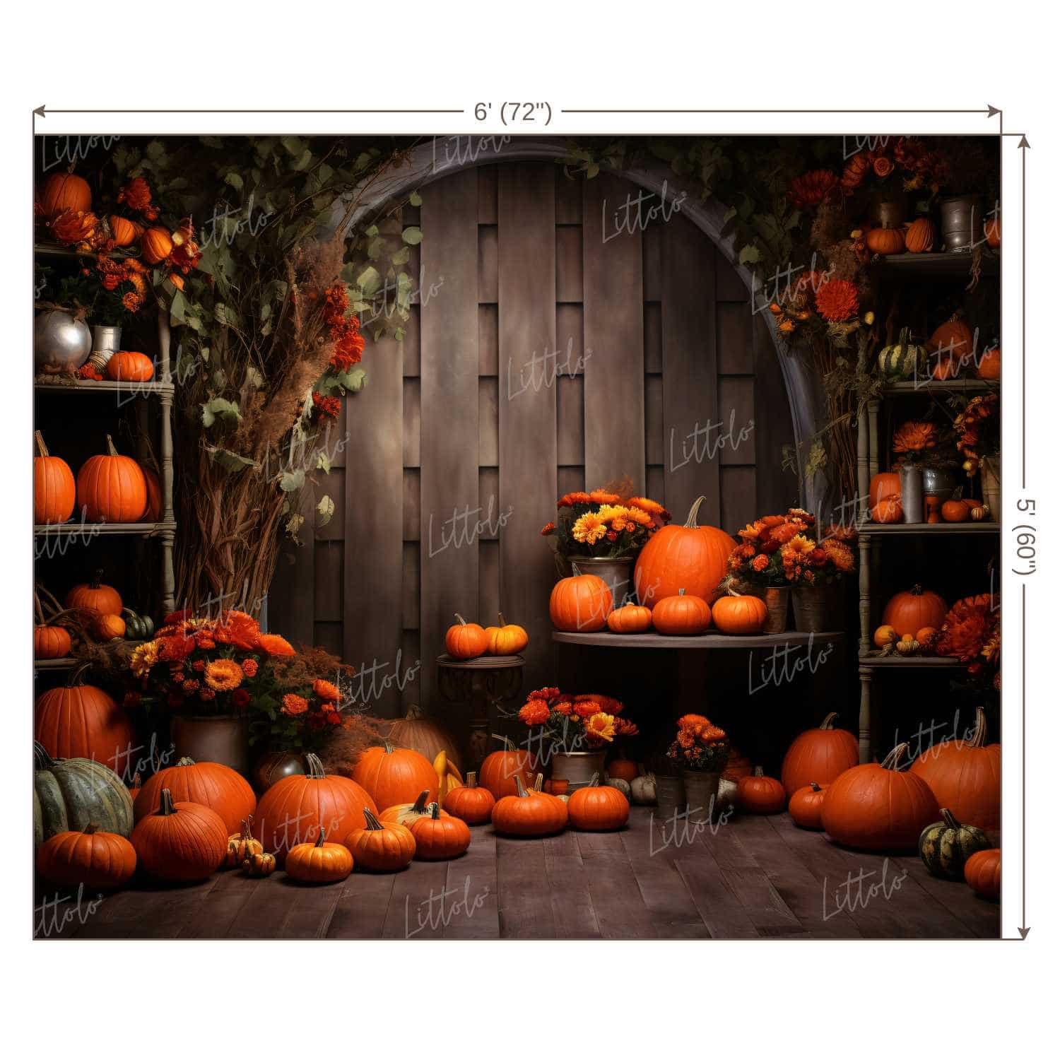 LB1317 Festivals and Seasons Halloween Backdrop