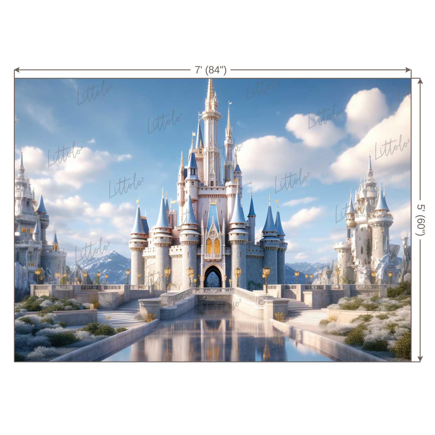 LB1442 Cake Smash and Themed Drops Prince / Princess Castle Backdrop