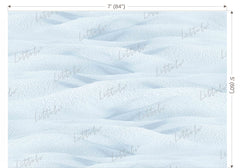 LB1488 Winter Snow & Sand Floor Backdrop