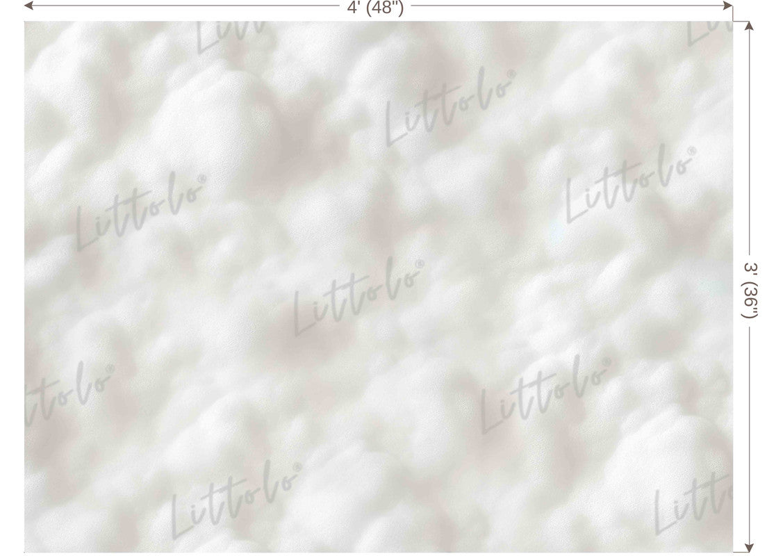 LB1495 Cloud Backdrop