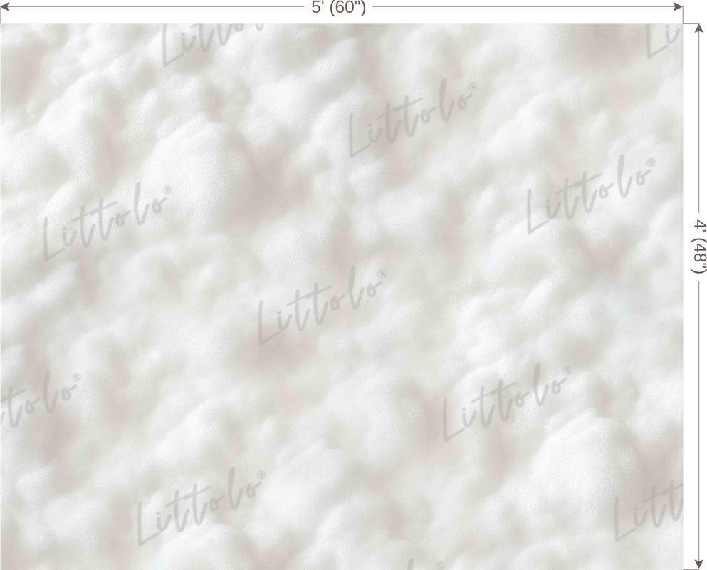 LB1495 Cloud Backdrop