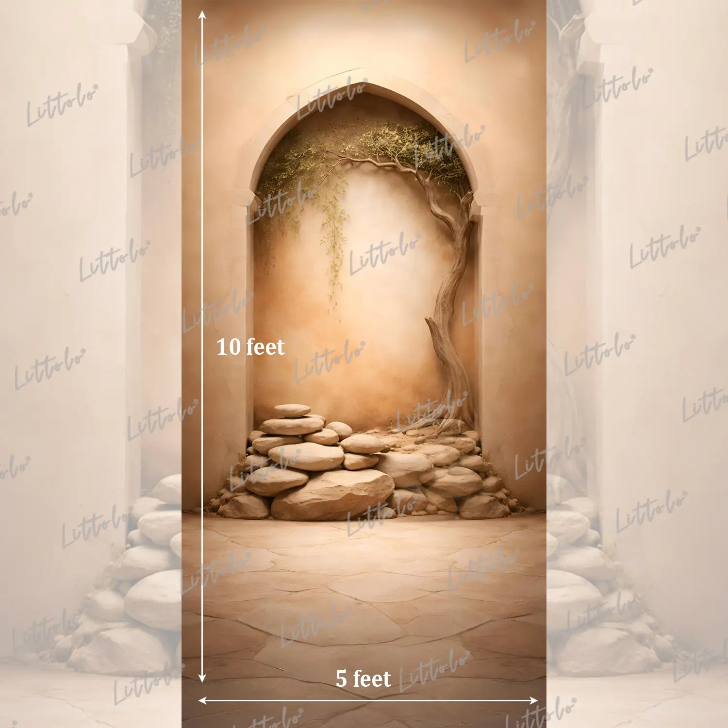 LB1587 Desert Arch Stone Garden Maternity Photography Backdrop