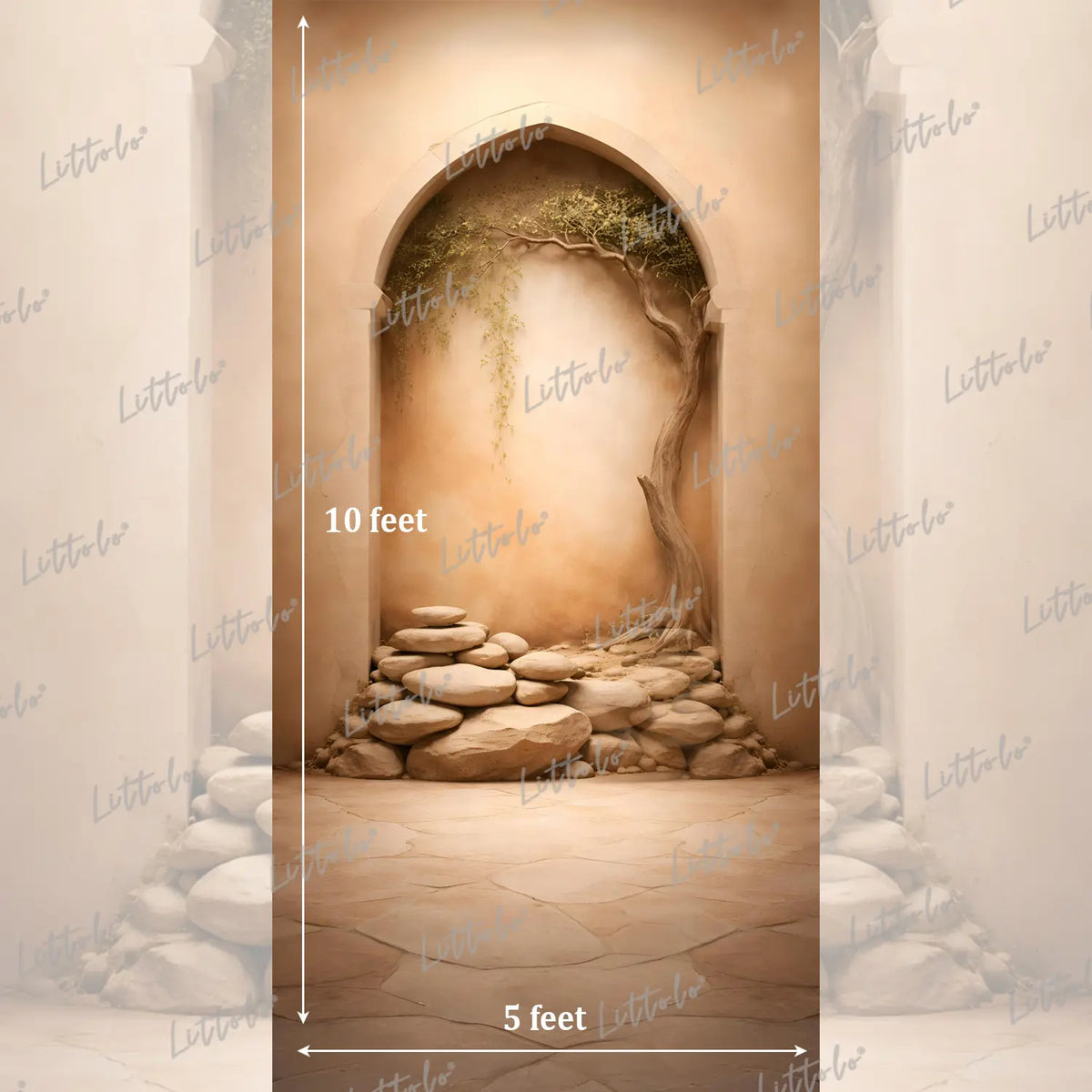 LB1587 Desert Arch Stone Garden Maternity Photography Backdrop