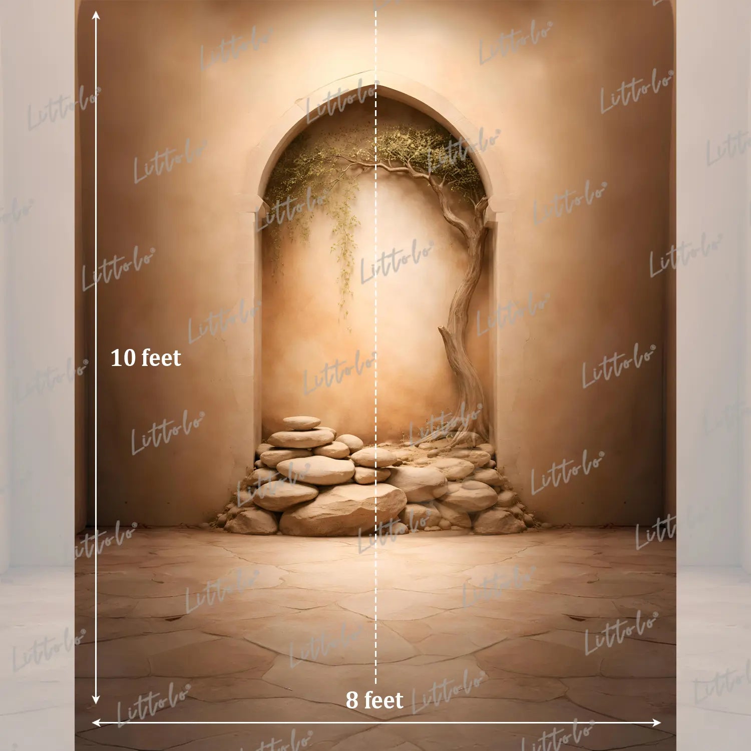 LB1587 Desert Arch Stone Garden Maternity Photography Backdrop