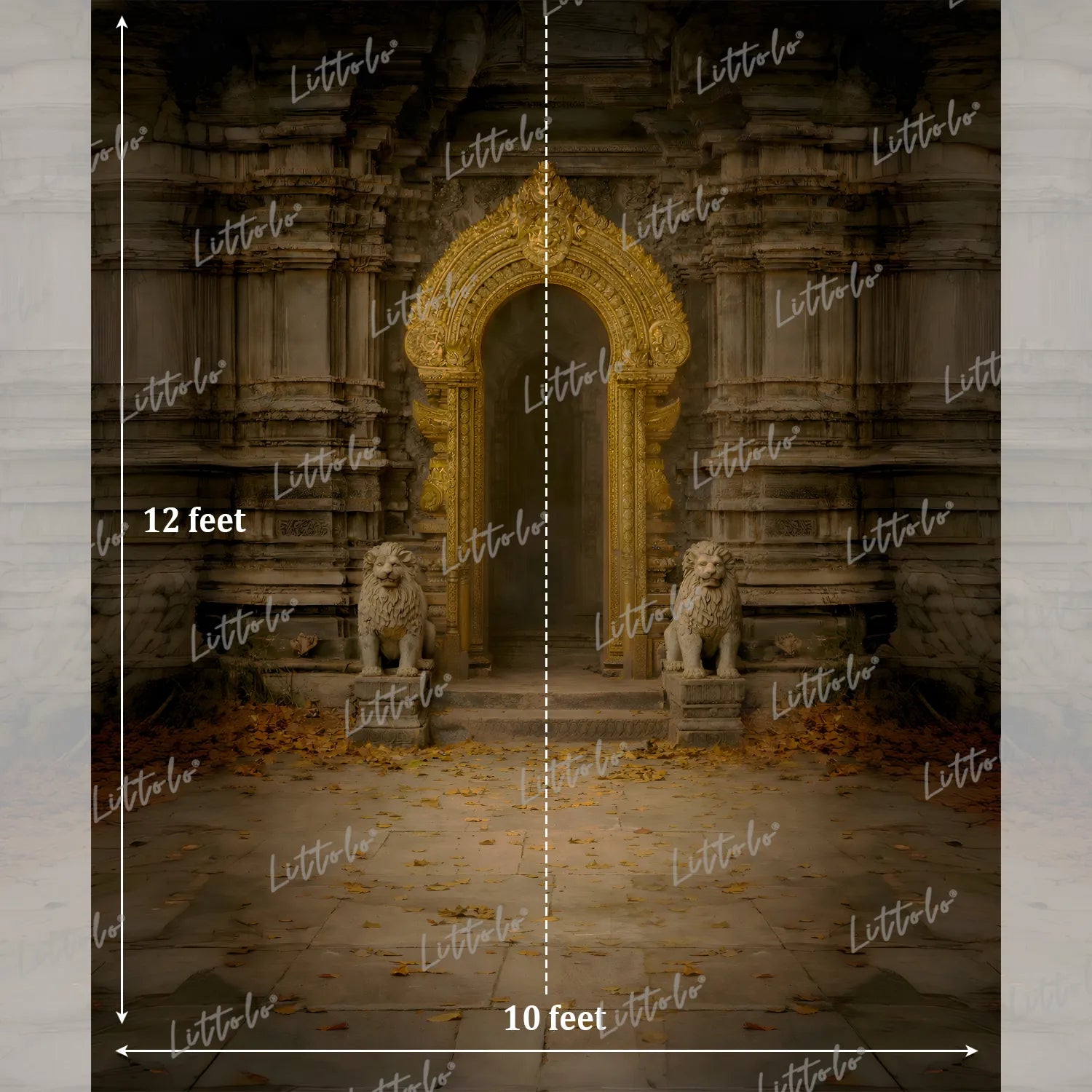LB1618 Vintage Ruins Palace Arch Maternity Backdrop