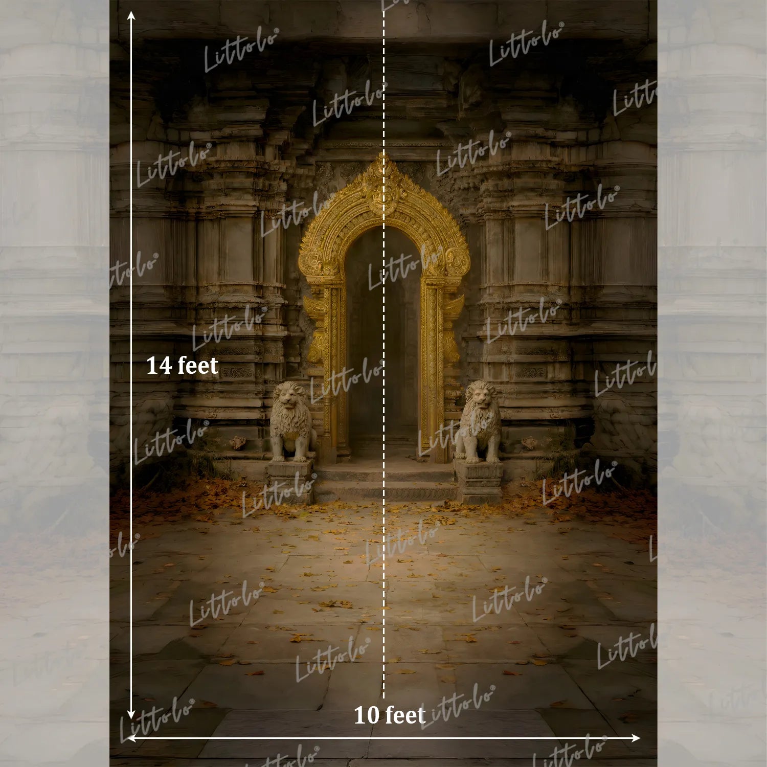 LB1618 Vintage Ruins Palace Arch Maternity Backdrop