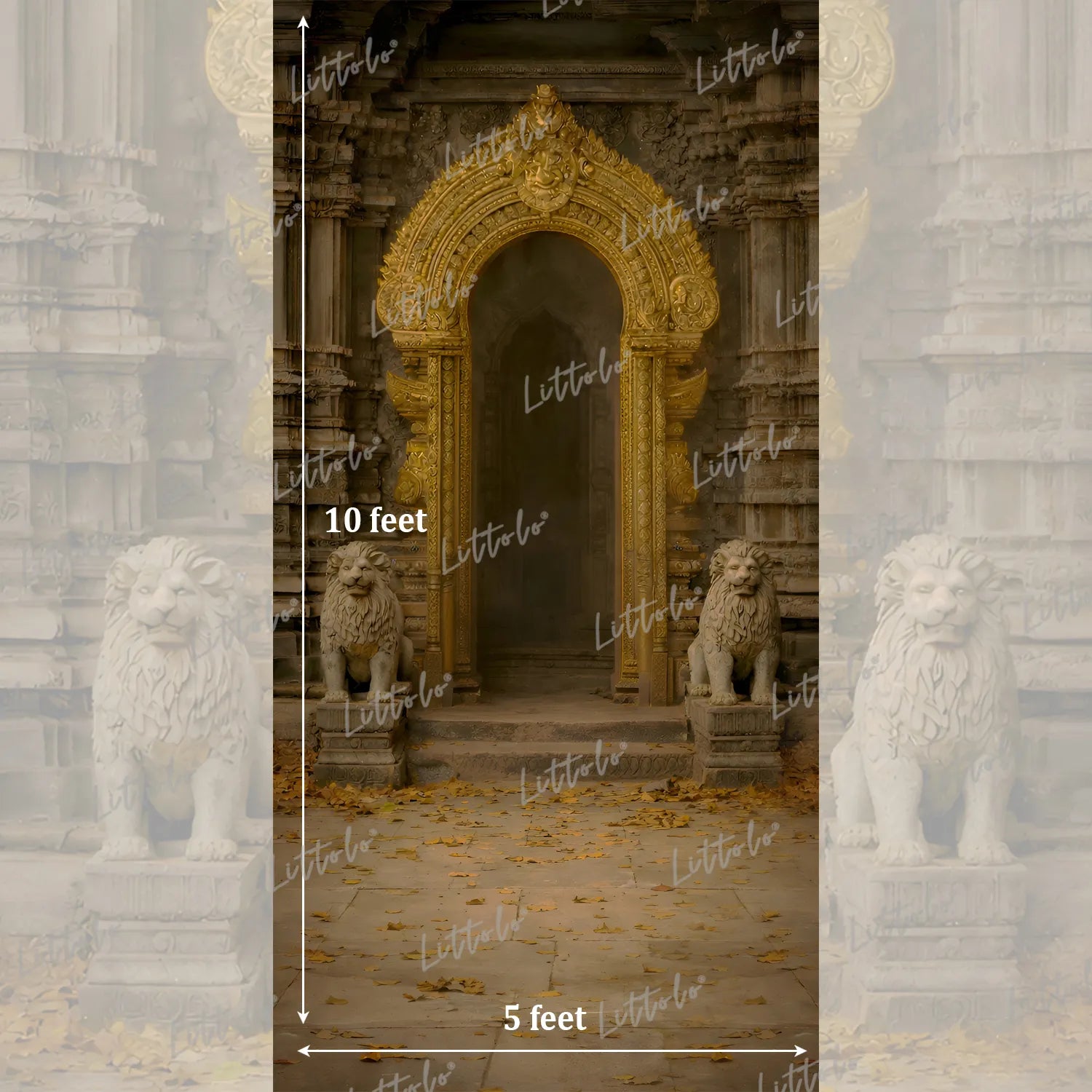 LB1618 Vintage Ruins Palace Arch Maternity Backdrop