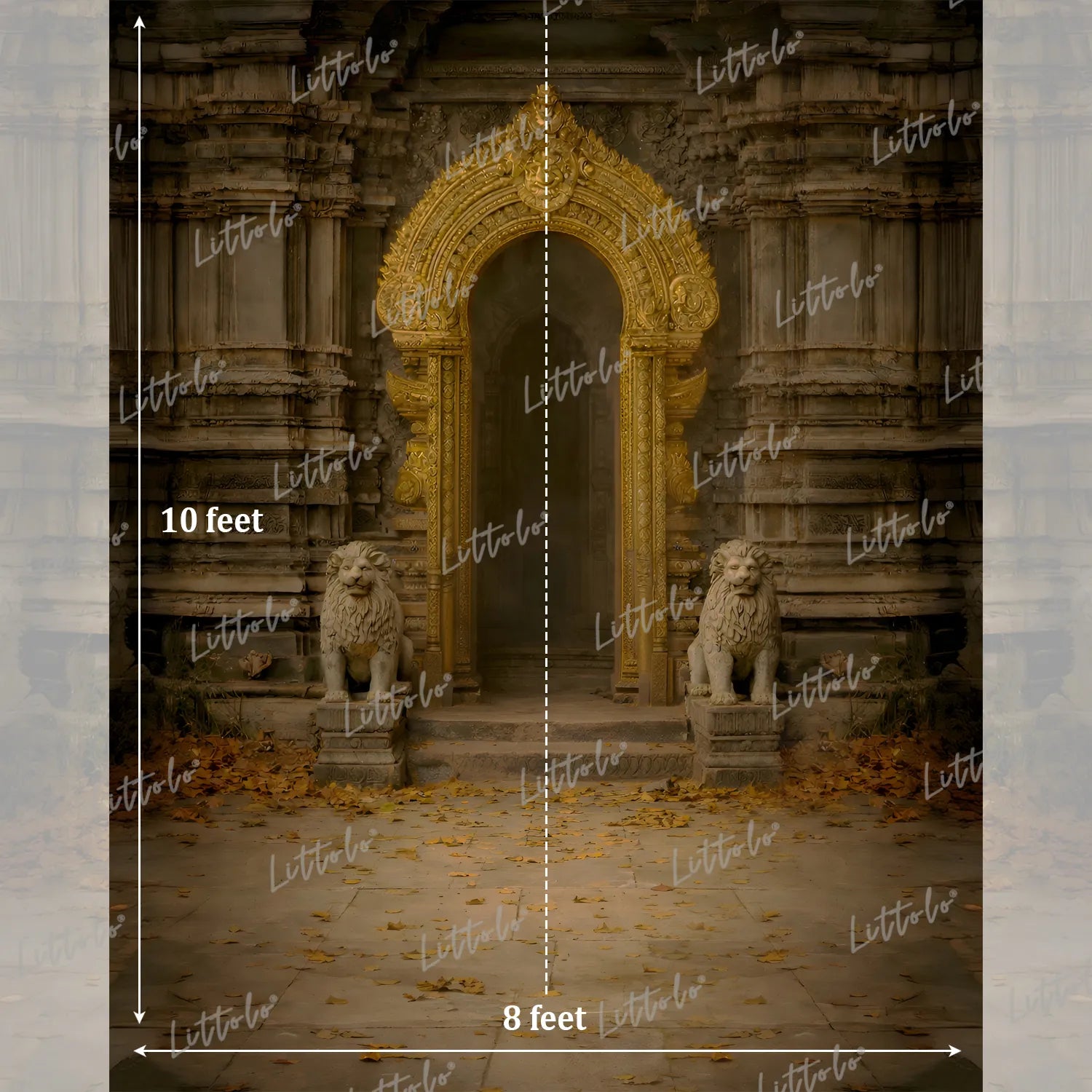 LB1618 Vintage Ruins Palace Arch Maternity Backdrop