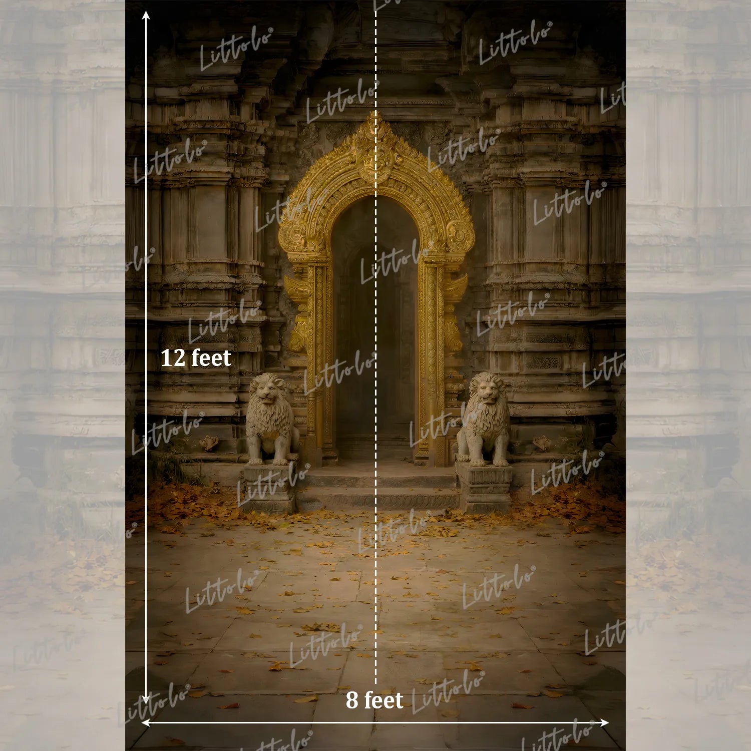 LB1618 Vintage Ruins Palace Arch Maternity Backdrop