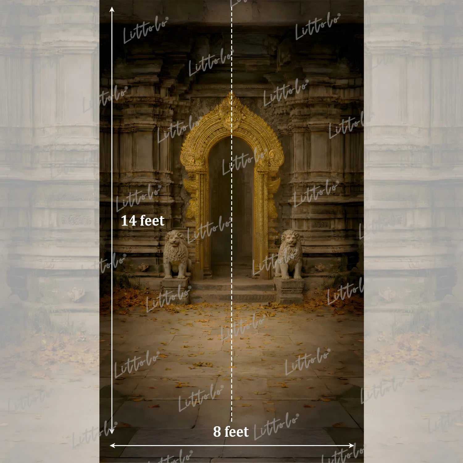 LB1618 Vintage Ruins Palace Arch Maternity Backdrop