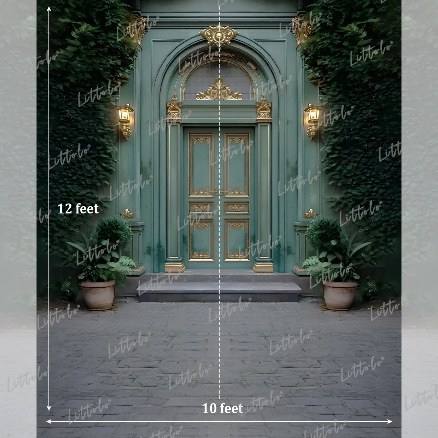 LB1632 Moon Night Vintage Green Palace Door Garden Maternity Backdrop