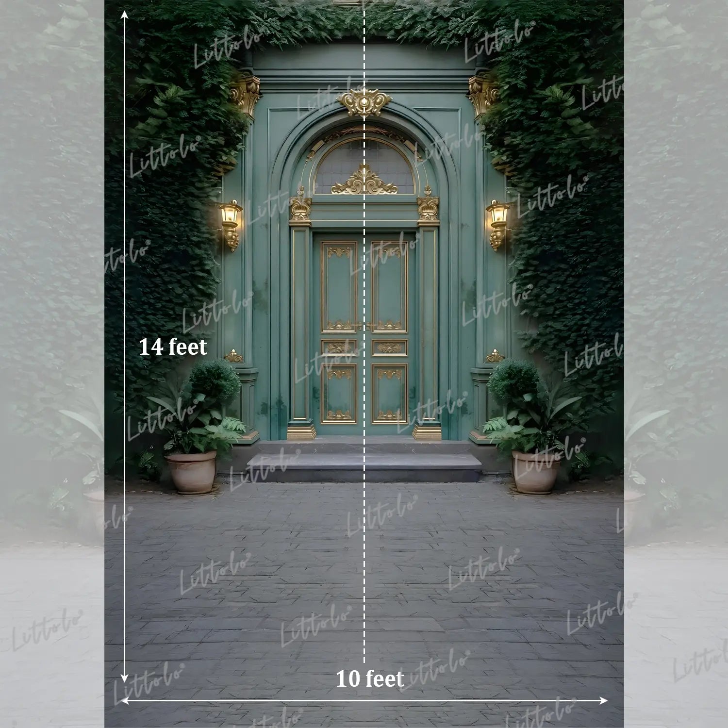 LB1632 Moon Night Vintage Green Palace Door Garden Maternity Backdrop