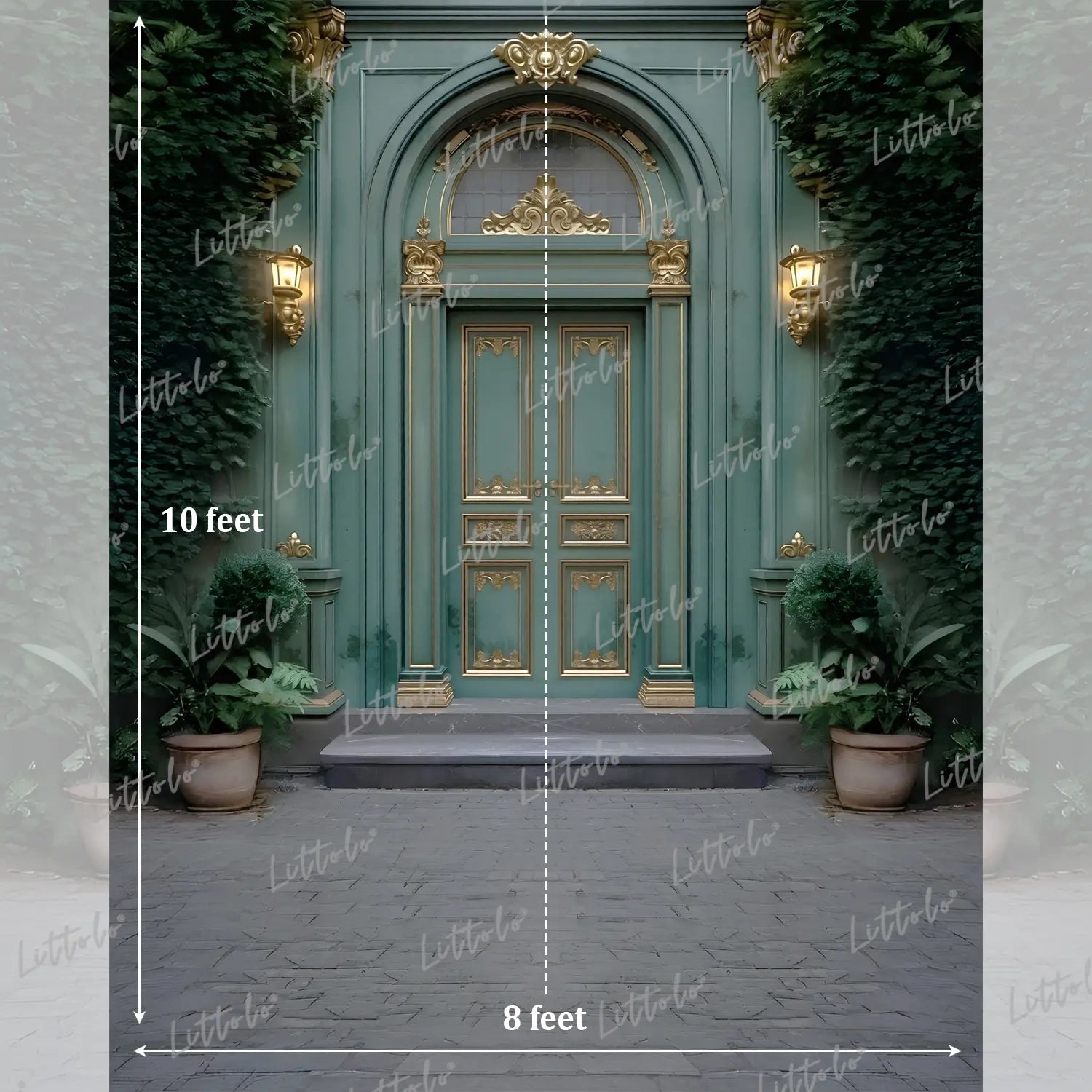 LB1632 Moon Night Vintage Green Palace Door Garden Maternity Backdrop