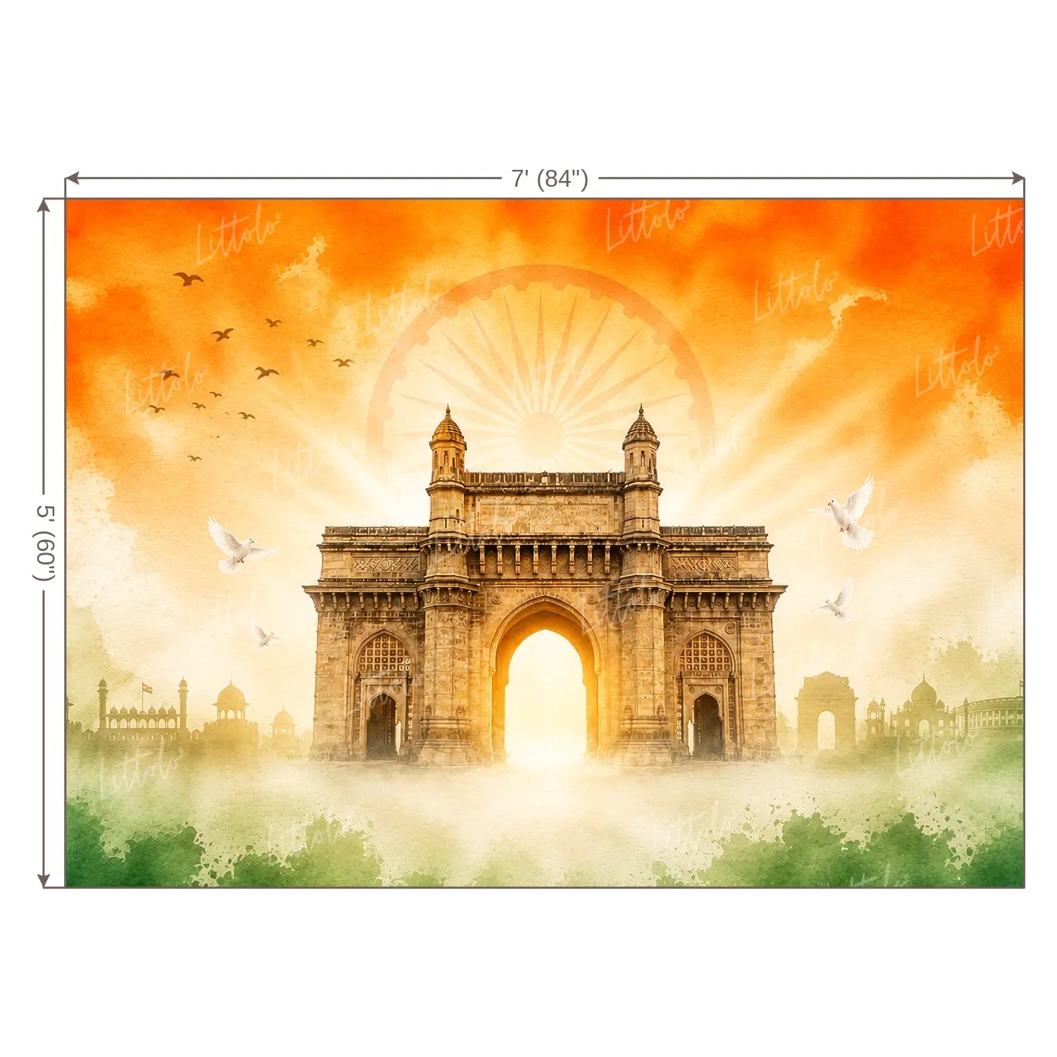 LB1652 India Gate With Tricolor Backdrop