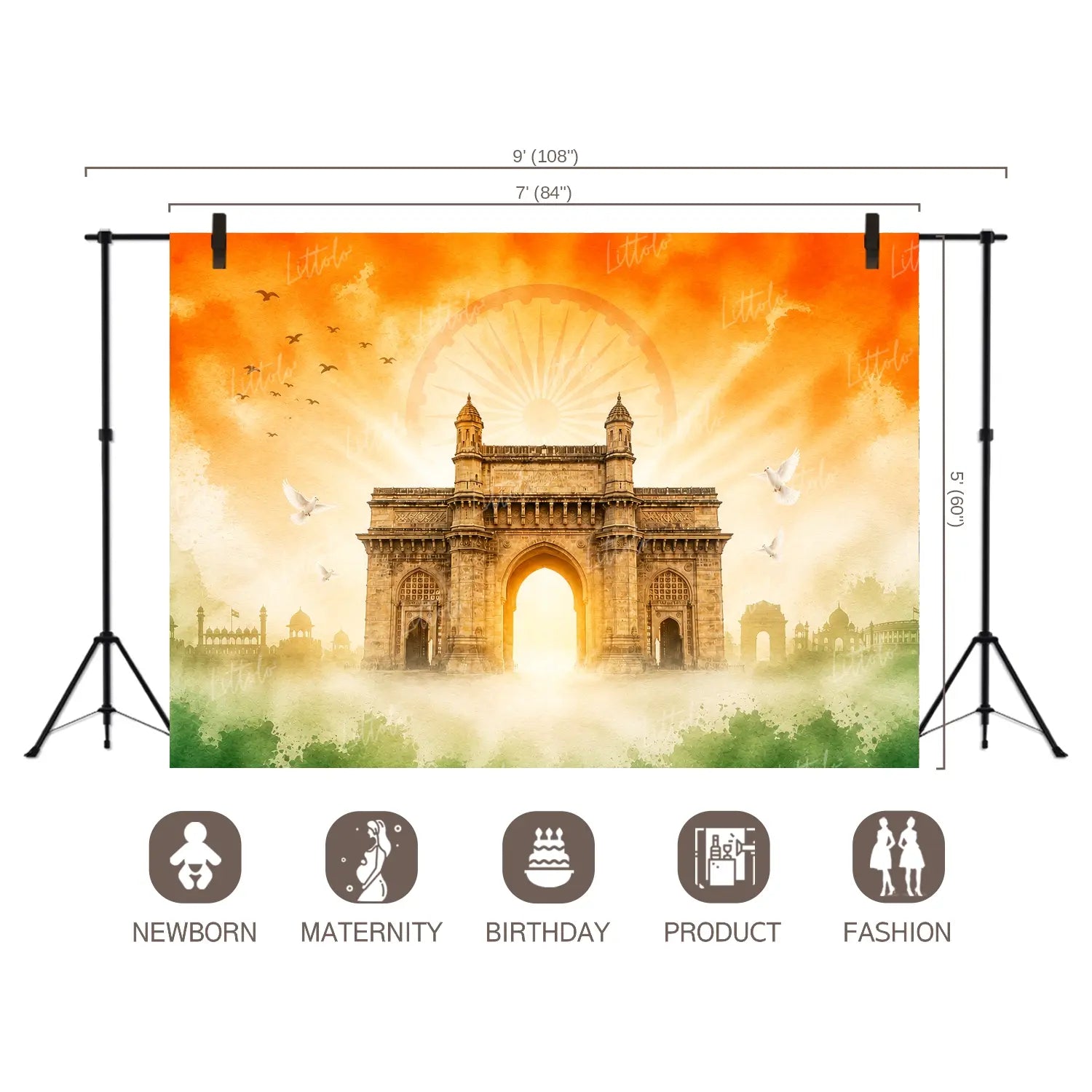 LB1652 India Gate With Tricolor Backdrop
