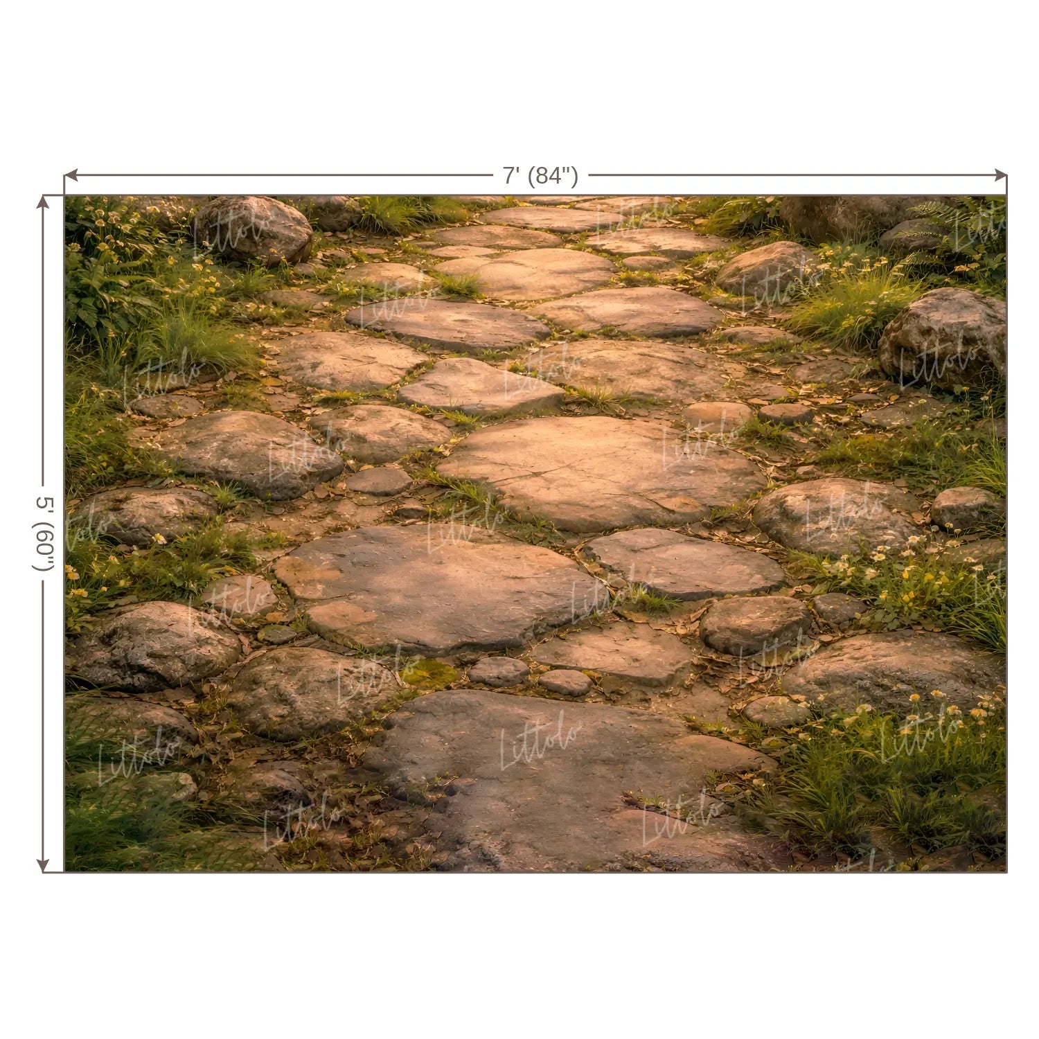 LB1604F Forest Stone Path Floor Backdrop