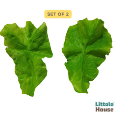 Artificial Lettuce Leaf Fake Vegetable Photography Decoration Props D111 | Pack of 2 | Leaf Green