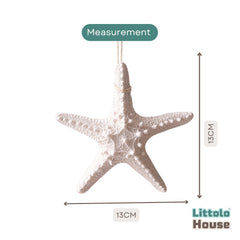 Mediterranean Beach Starfish D128 | Pack of 3 | White