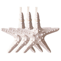 Mediterranean Beach Starfish D128 | Pack of 3 | White