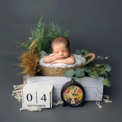 Milestone_block_12month