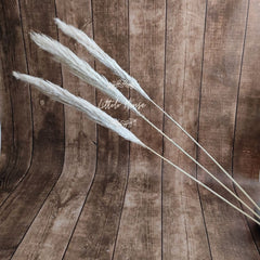 Natural Dried Reed Pampas Large F055 Pack of 3 | Beige