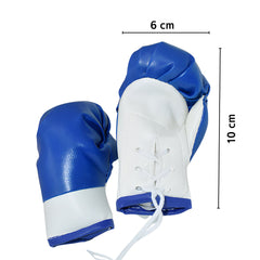 Boxing Gloves D067 | Pack of 1 Pair | White Blue