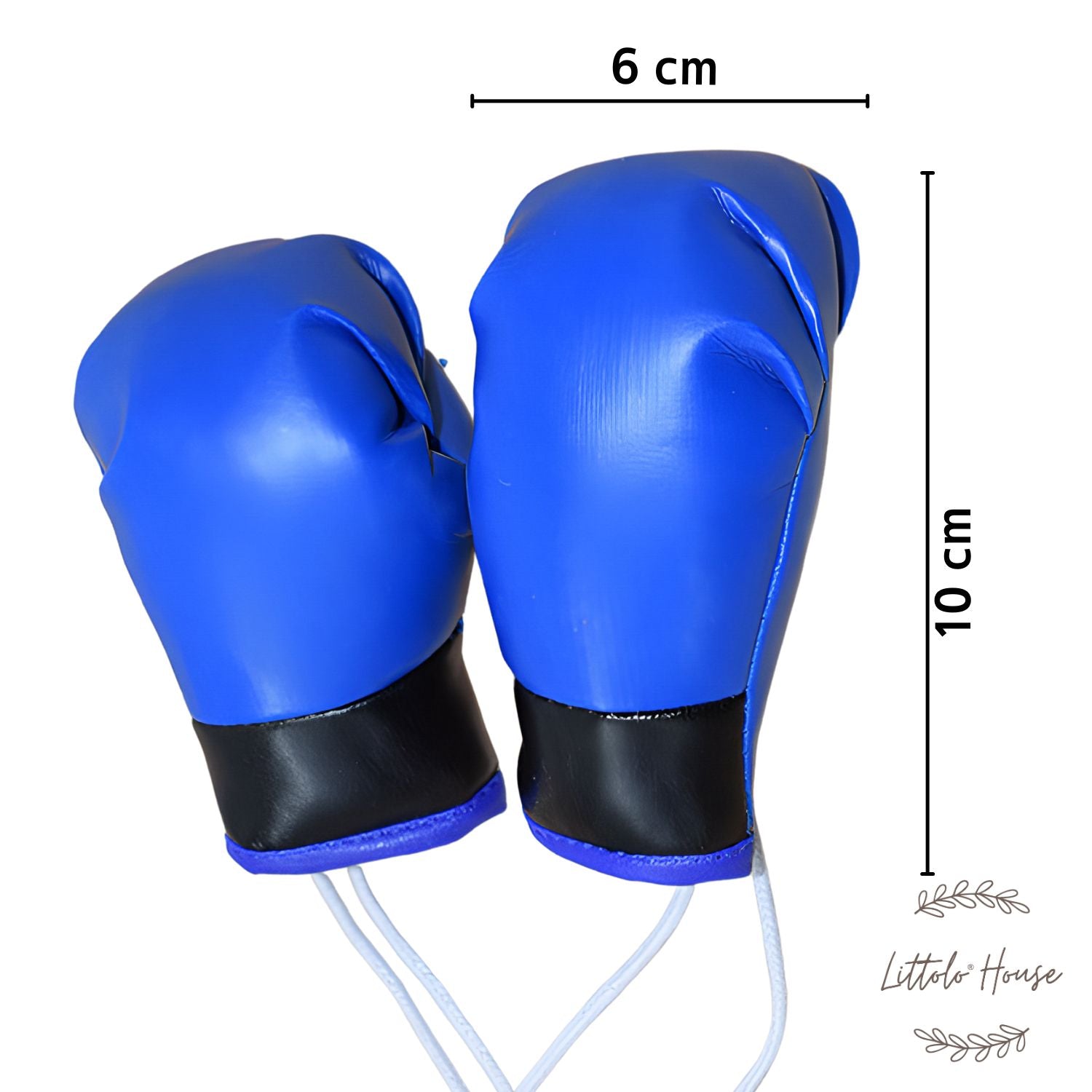 Boxing Gloves D067 | Pack of 1 Pair | Blue