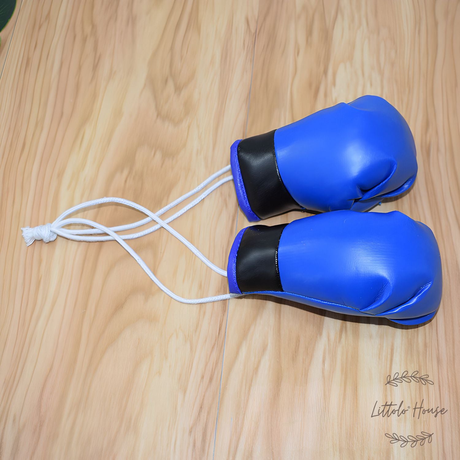 Boxing Gloves D067 | Pack of 1 Pair | Blue