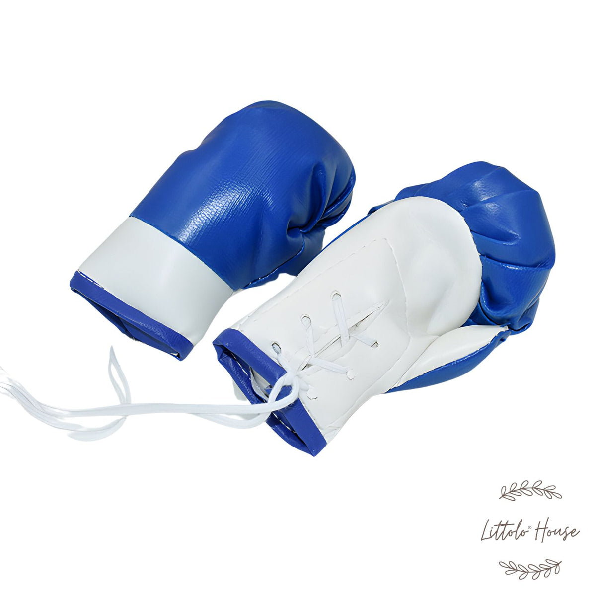 Boxing Gloves D067 | Pack of 1 Pair | White Blue