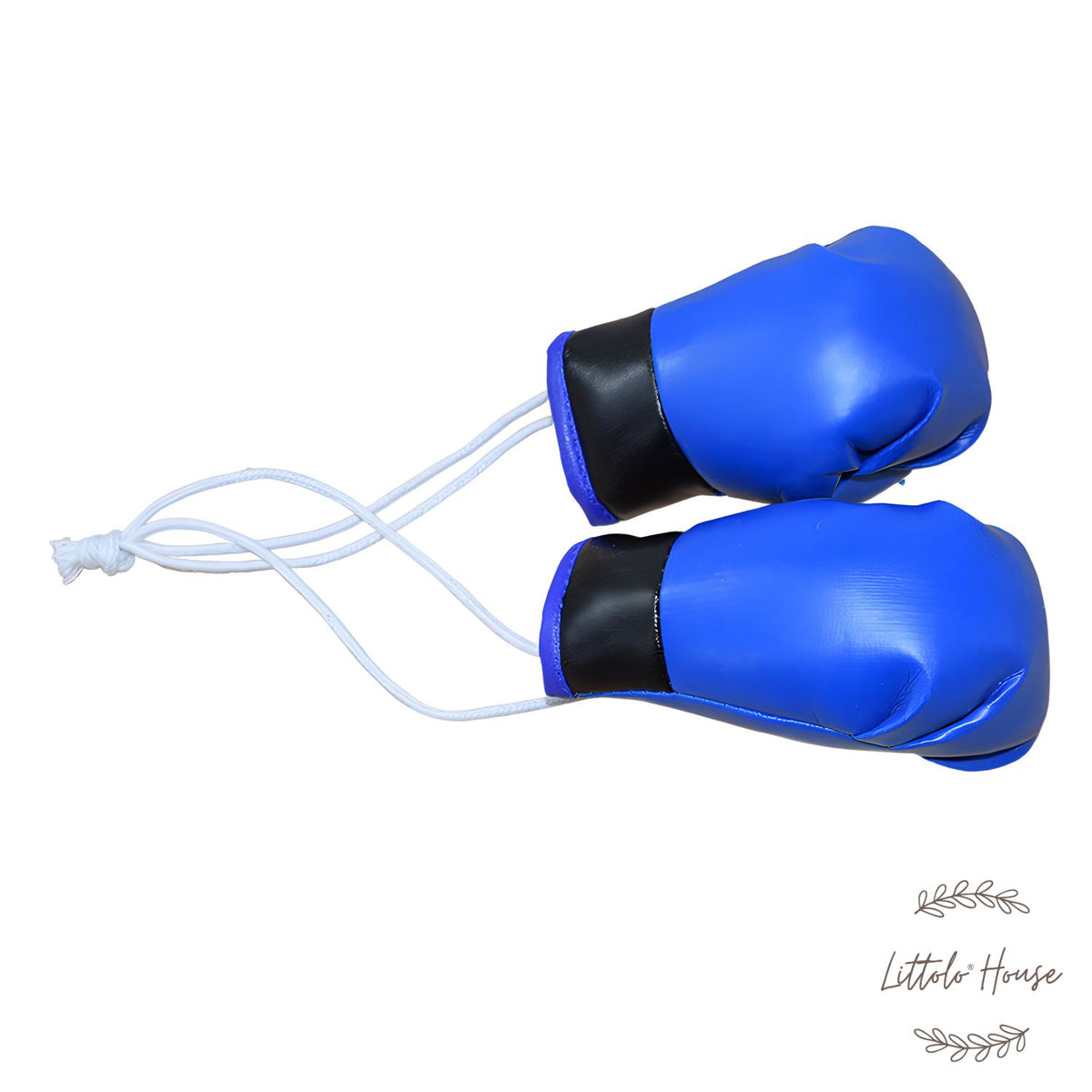 Boxing Gloves D067 | Pack of 1 Pair | Blue