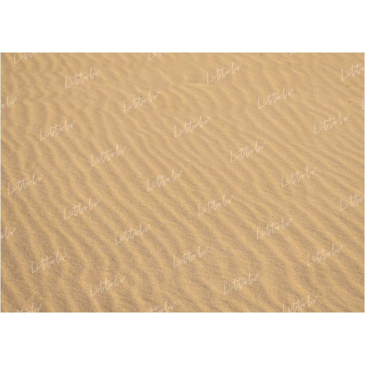 LB0210 Desert Sand Theme Backdrop