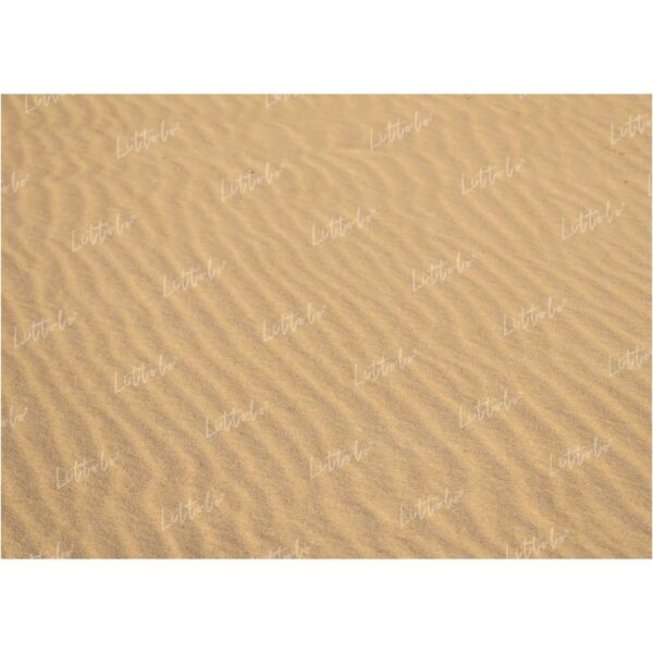 LB0210 Desert Sand Theme Backdrop