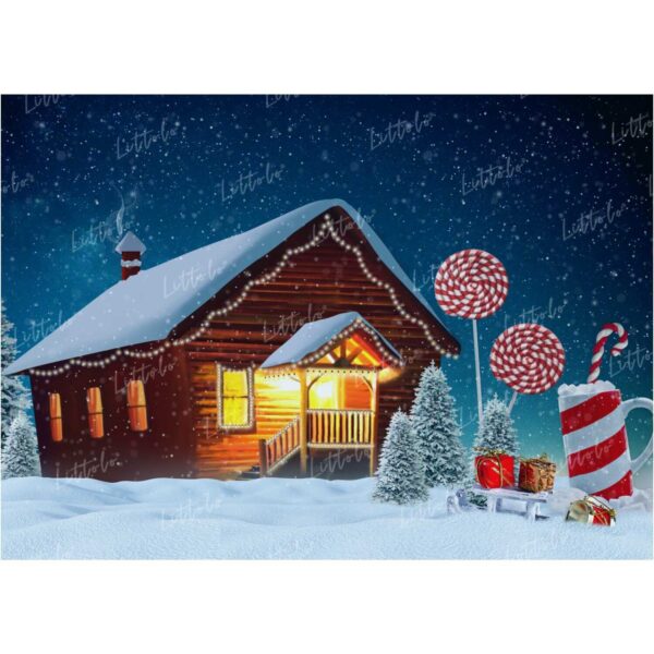 LB0020 Christmas House Outdoors Theme Backdrop