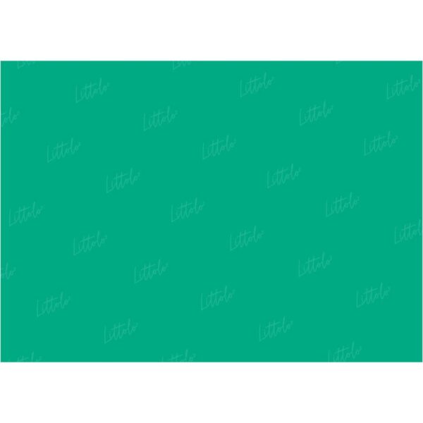 LB0306 Emerald Solid Cold Backdrop