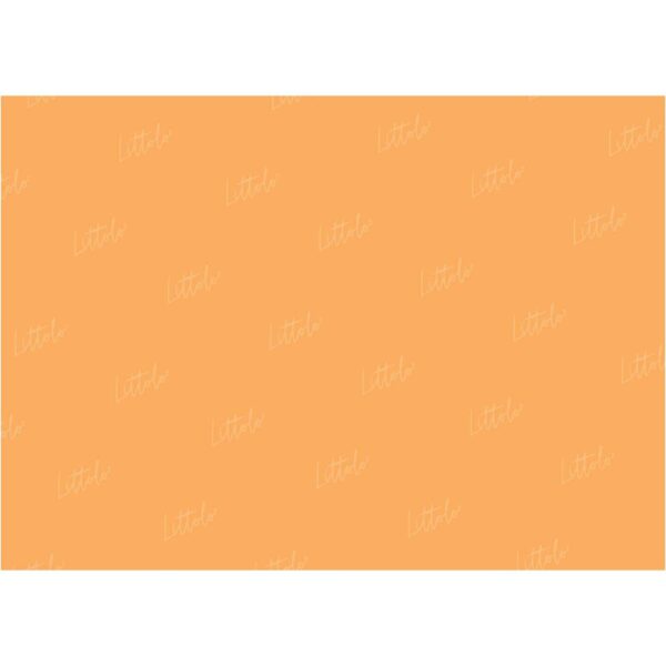 LB0328 Tangerine Solid Warm Backdrop