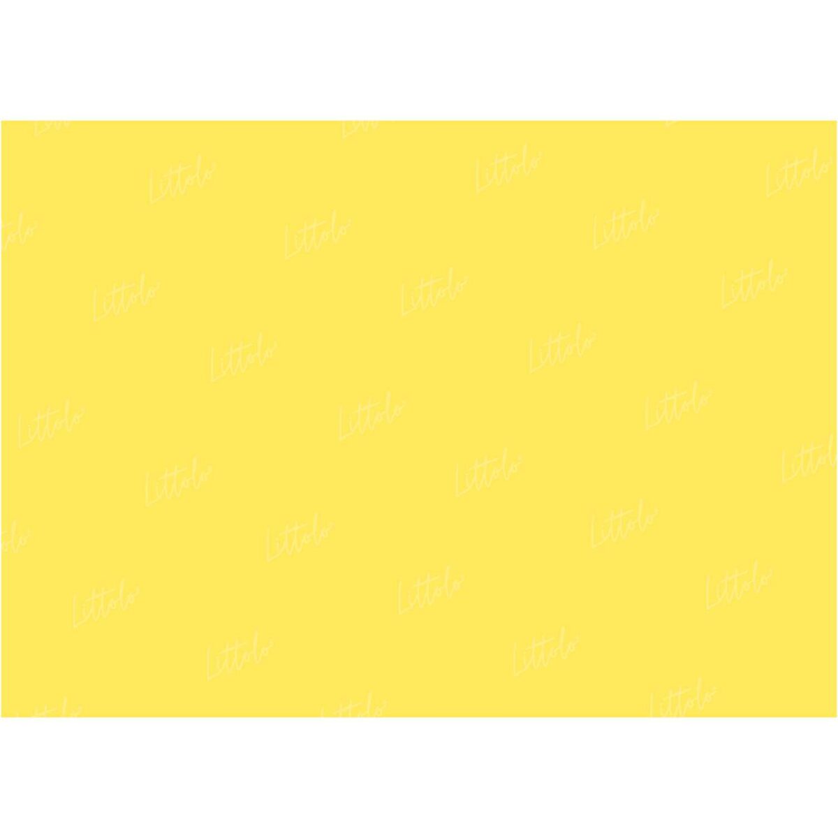LB0331 Lemon Solid Warm Backdrop