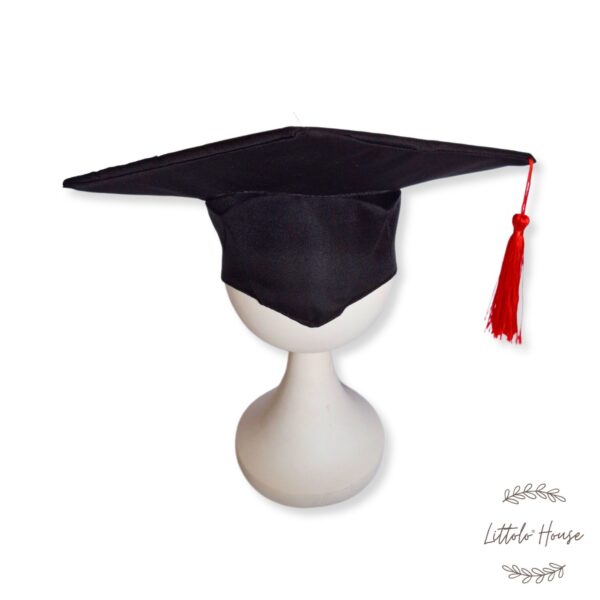Baby Boy Girl Wearing Graduation Gown Stock Vector (Royalty Free) 455788162  | Shutterstock